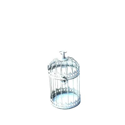 China Round Hanging Bird Cage Viable in Home or Outdoor Walking or Wedding Decoration in Amazon Hot Sale for sale