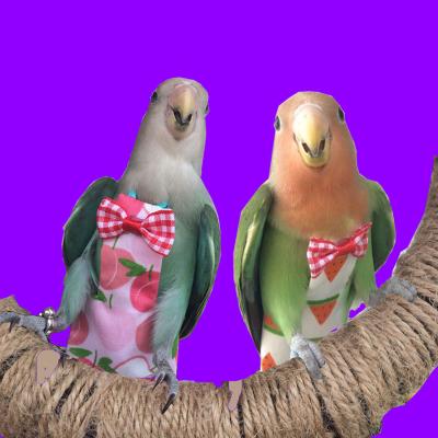 China Viable Bird Diaper With Environmental Protection Reusable Diapers Pocket Pet Adjustable Shit Parrot Clothes Flight Suit Pet Accessories for sale