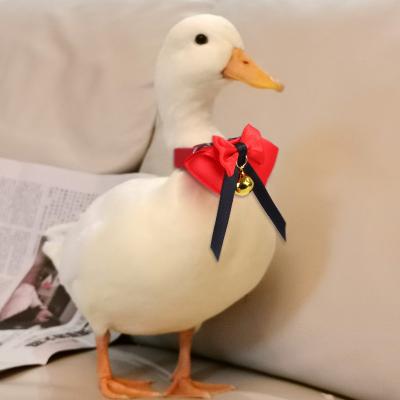 China New Viable Parrot Duck Goose Clothes Handmade Custom Amazon Parrot Collar Pet Chicken Selling Cute Bird Collar Adjustable Bow Tie for sale