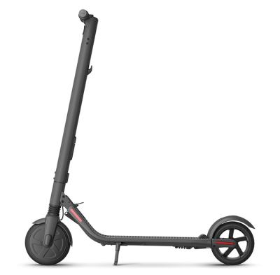 China 2021 hot sale e scooter unisex for adult 36v voltage electric scooter with 350w for sale