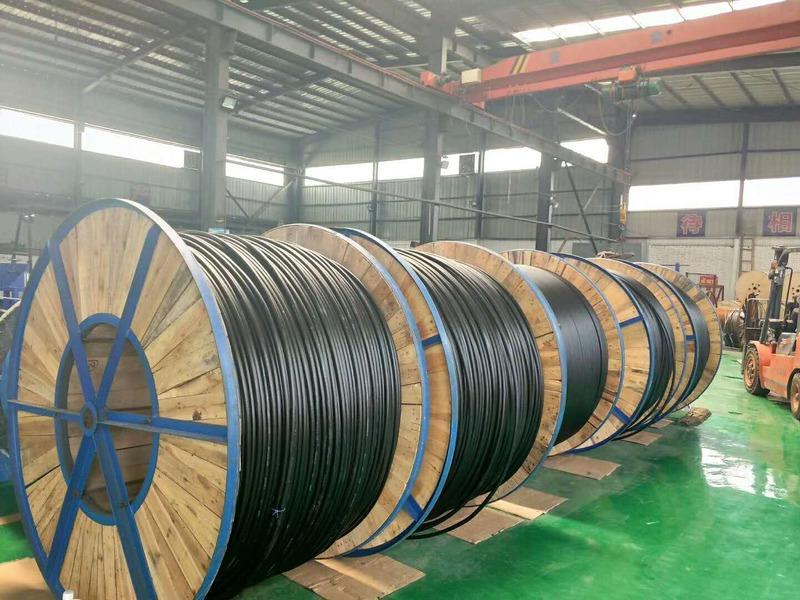 Verified China supplier - Shijiazhuang City Feiniu Cable Co., Ltd.