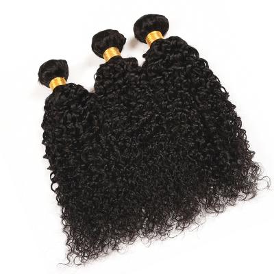 China Body Wave Afro Kinky Curly Human Braiding Hair for sale