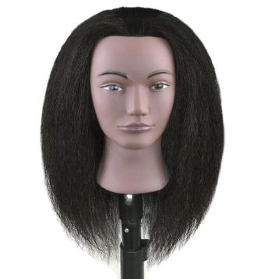 China Can Be Dyed Any Color And Ironed Cosmetology Mannequin Head African American Hairdresser Braiding Dummy Head Training Mannequin Doll Afro for sale