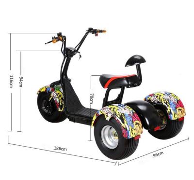 China Three Speed ​​Sunport Electric Tricycle 3 Wheel Scooter citycoco for sale