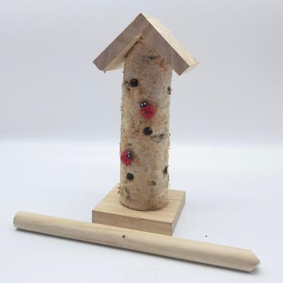 China Handmade viable beetles house for gift and decorate for sale