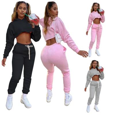 China Breathable Fashion Clothes 2021 Autumn Winter Joggers Two Piece Sweatpant Pants And Hoodie Set Women for sale