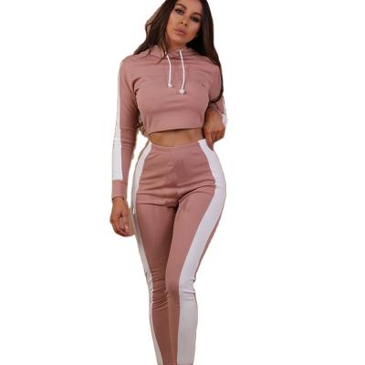 China Sustainable 2021 New Custom Made WOMEN'S Plain Zipper Cotton Bulk Sweatsuit Tracksuit With Stripe for sale