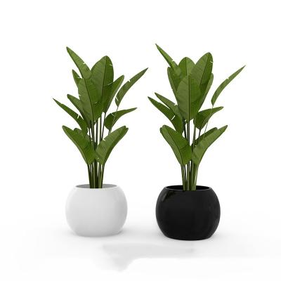 China Modern White Fiberglass Resin Flower Pots UV Waterproof Entryway Planter Pots Round for sale