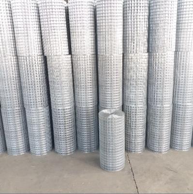 China Construction Hot Dipped Galvanized Welded Wire Mesh 25x25 Wire Mesh Roll 0.5m Width For Plaster Stucco Mesh for sale