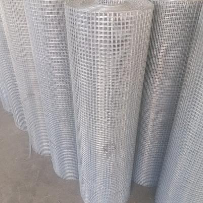 China Poultry cage 1/2 in. x 36 in. 50 ft. 19 x Gauge Hardware Cloth for USA Market (Anping Factory) for sale