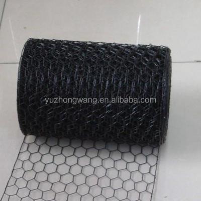 China Cages Lowest Price Hexagonal Mesh Hole Size 25mm Wire Mesh for sale