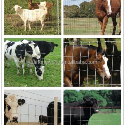 China Easily Assembled Electric Cattle Fence for sale