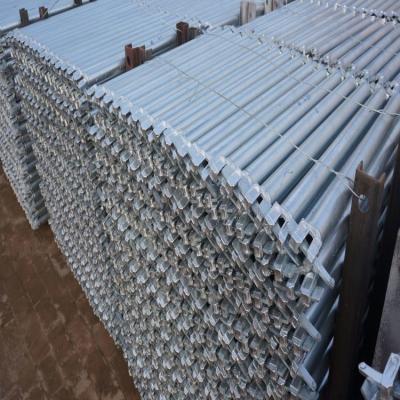 China Construction Ringlock Bridge Ledger Heavy Duty 2.5m Hot-dipped Galvanized with 3.25mm Tube Thickness en venta