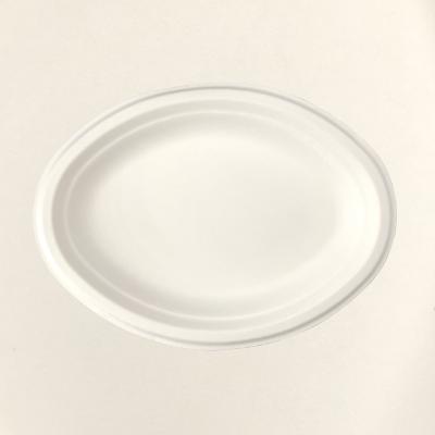 China Recycled Materials Waterproof Compostable Microwavable Biodegradable Molded Sugarcane Food Container Pulp, Large Oval Plate-01 for sale