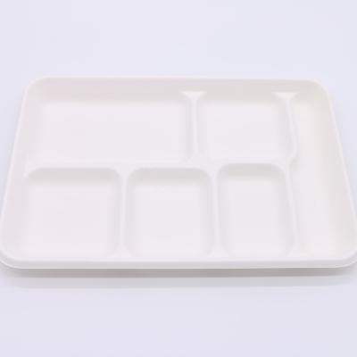 China Sugarcane Occasional Bagasse 5-Compartment Tray Compostable Bamboo Fiber Biodegradable Paper Take Away Food Packaging for sale