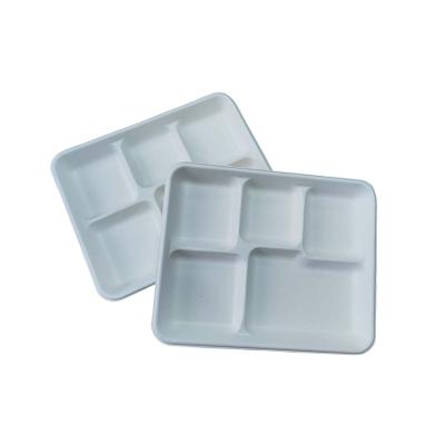 China Casual Compostable Safe Eco Friendly Sugarcane Bagasse Pulp 5-C Molded Tray for sale