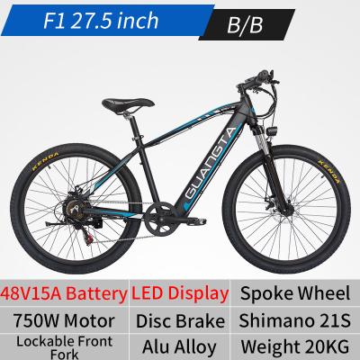 중국 750W 500 Watt Electric Bike Electric Mountain Bike With Rainproof Ebike LCD Display Showing E Message 판매용