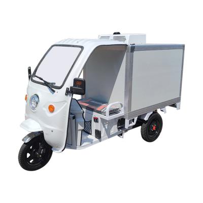 China Latest Design Top Quality China Cold Chain Adult Electric Passenger Tricycle for sale