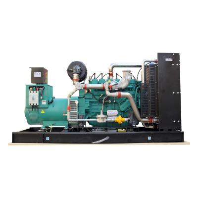 China Power 250kw Genset Natural Gas Generator Set Biogas XSA-250GFQ for sale