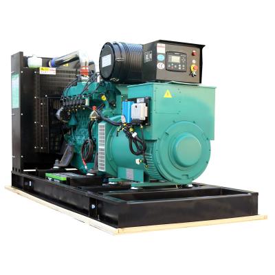 China Factory price 250kw natural gas generator price XSA-250GFQ for sale