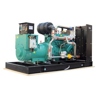 China Clean Energy Generator Natural Gas Generator XSA-250GFQ for sale