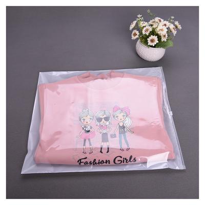 China Disposable Custom Frosted Plastic Packaging Zipper Bags T Shirt Swimwear Zipper Bags With Logo for sale