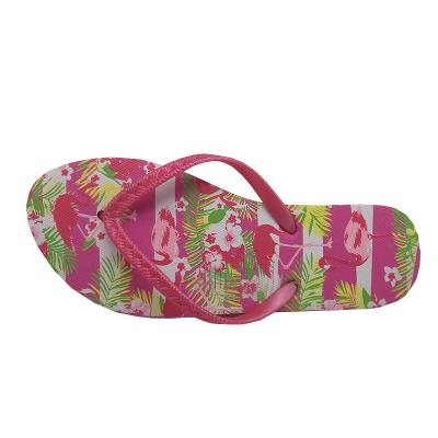 China Fashion trend pink beach style flamingo palmettes painting flip flop women size screen printing summer flip flop for sale