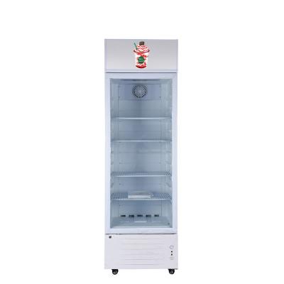 China New Style 300L Upright Solar Upright Beverage Showcase en venta