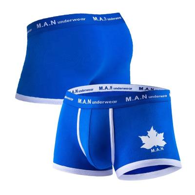 China Antibacterial Hot Selling Amazon Sports White Cotton Underwear Boxer Breathable Shorts For Man for sale