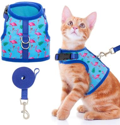 China Padded Breathable Puppy Cat Vest Harness Escape Proof Mesh Small Dog Pet Harness and Leash Set for sale