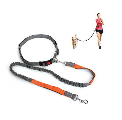 China Bungee Sustainable Walking Padded Double Hands Free Time Correas Para Perro Dog Running Hands Heavy Duty Dog Leash for sale