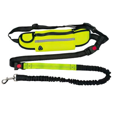 China Wholesale Viable Adjustable Retractable And Thoughtful Stitching Hands Free Bungee Waist Dog Leash Training For Running for sale