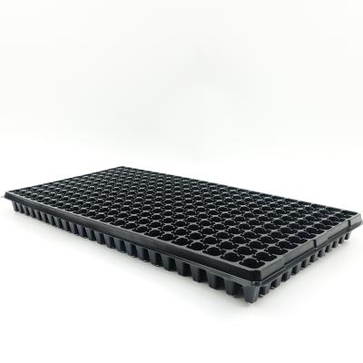 China Eco - Friendly Seed Planting 288 Greenhouse Vegetable Seedling Tray for sale