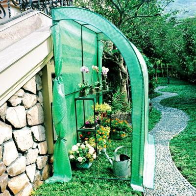 China Easily Assembled Garden Horticulture Greenhouses, Mini Garden Plant Greenhouse for sale