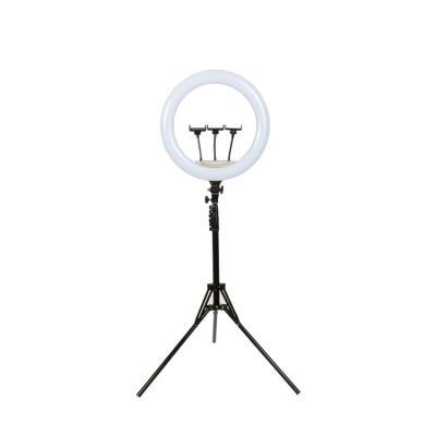 China Mini Hot Selling 45Cm Live Beauty Led Ring Light Photographic Lighting for sale