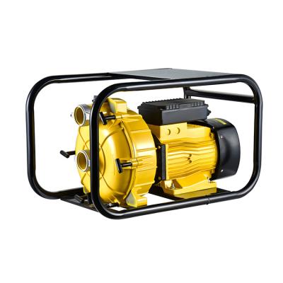 China Drip Irrigation 4Hp 50Hz 220V/380V Automatic Water Industrial Agricultural Irrigation Electric Water Pump Electric Sewage Pump for sale