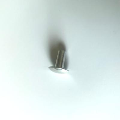 China Pan Manufacturers sell metal rivets and screws directly for sale