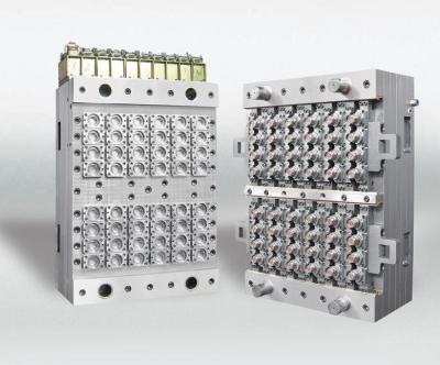 China de kruidglb vorm dekt het strijken plastic GLB de vormroestvrij staal s136 van de machinevorm af Te koop