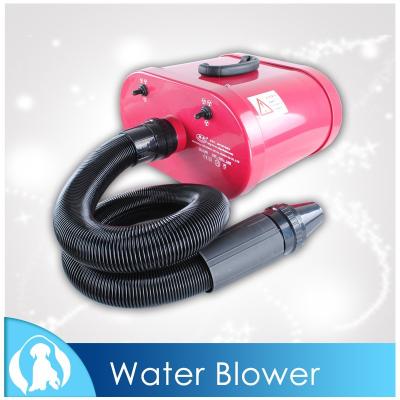 China Double Motors Dog Viable Pet Grooming Dryer Blower S22-2300 for sale