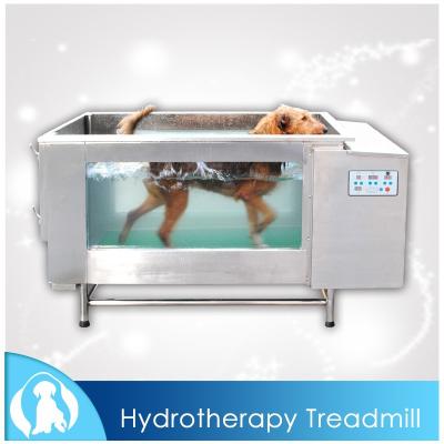 China 2017 Viable Outdoor Underwater Treadmill For Dogs for sale