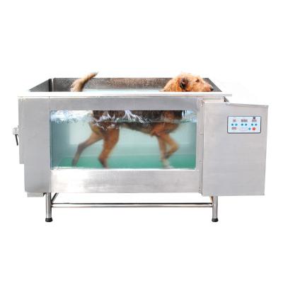 China H-2000L Sustainable Dog Machine Large Dog Walking Machine Pet Running Underwater Treadmill for sale