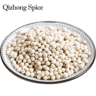 China Rectum Qizhong Spice White Pepper Available as Spices  Condiments and Medicine White Pepper for sale