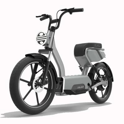 China Electric Bicycle Aluminum Alloy Funrun 20 Inch 48V750W Vintage Electric Bike Fat Tire For Adults for sale