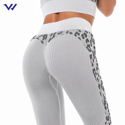 China Breathable explosive moisture leopard printing seamless knitted yoga wicking pants women's running sports fitness pants for sale