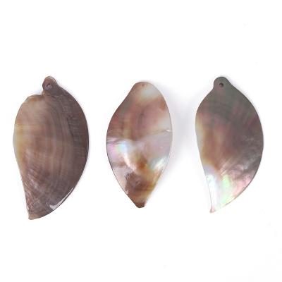 China Shell Wholesale Natural Seashell Leaf Shaped DIY Black Seashells for Jewelry and Apparel Production for sale