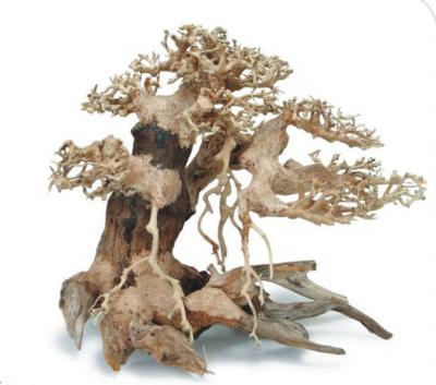 China Large Viable Aquarium Bonsai Driftwood for sale