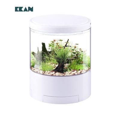 China Sustainable Portable Desktop Mini Acrylic Led Lightweight USB Fish Tank Fish Tank for sale