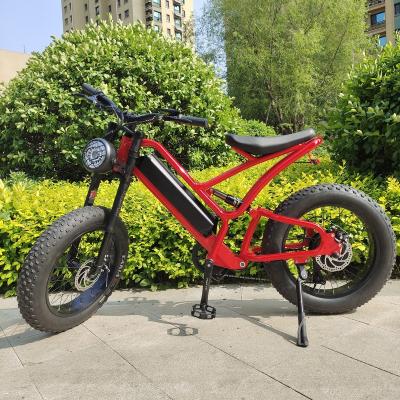 China CE Certificate 750W 16Ah Mountain Fast Bicycle Aluminum Alloy REALMAXS MA-20 Electric Bike 1000W E Bike With China Manufacturer for sale