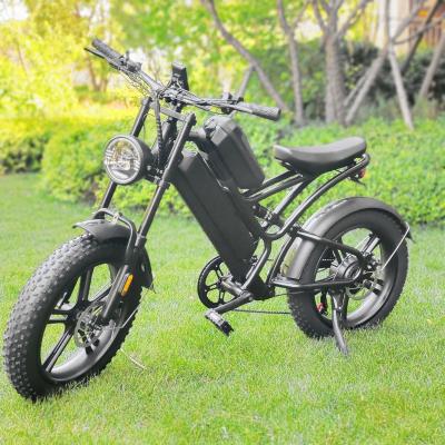 China Hot Sale 750W Aluminum Alloy REALMAXS MA-20 USA Hub Motor Off Road Adults China Electric Bike For OEM ODM for sale