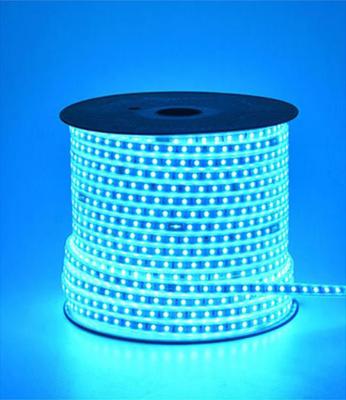 China LANDSCAPE 5 Meter 24 Head Controller RGB 5050SMD High Quality Wireless Flexible LED Strip Lights for sale